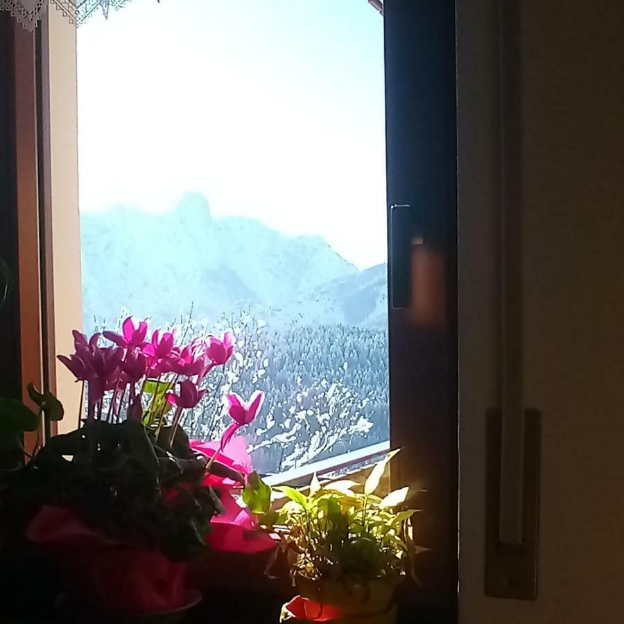 Apartamento Da Nicola E Laura Santo Stefano Di Cadore Exterior foto